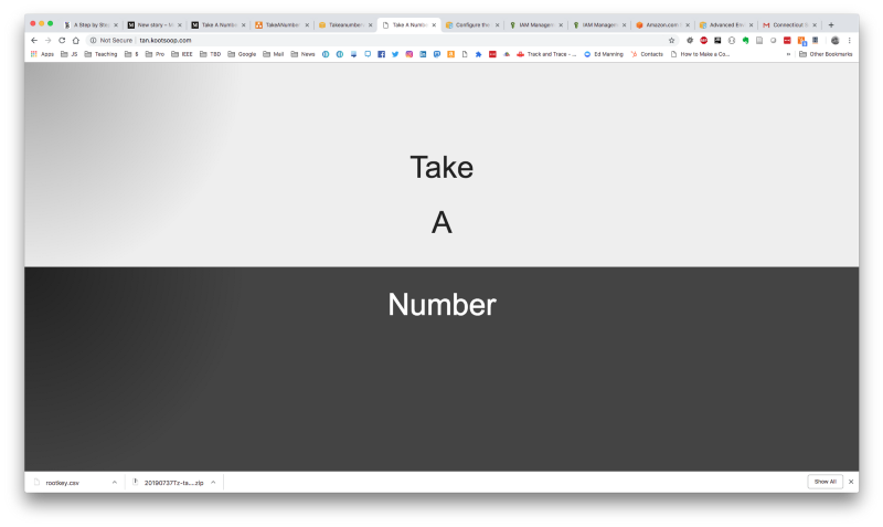 Take A Number on a Mac in Chrome.